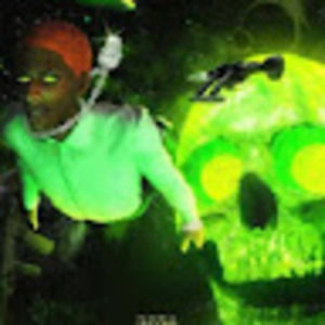 Meet your Posher, Riley